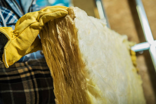 Best DIY Insulation Kits and Guidance in Grambling, LA