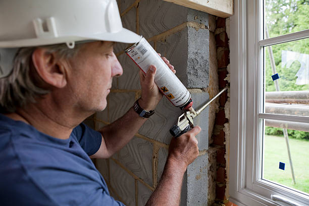 Best Eco-Friendly Insulation in Grambling, LA