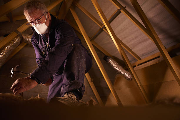 Best Cellulose Insulation in Grambling, LA